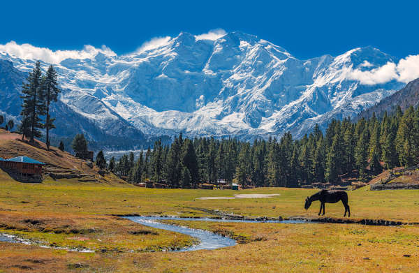 Nanga Parbat