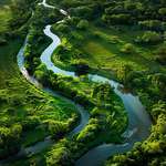 Top 10 Longest Rivers in the World